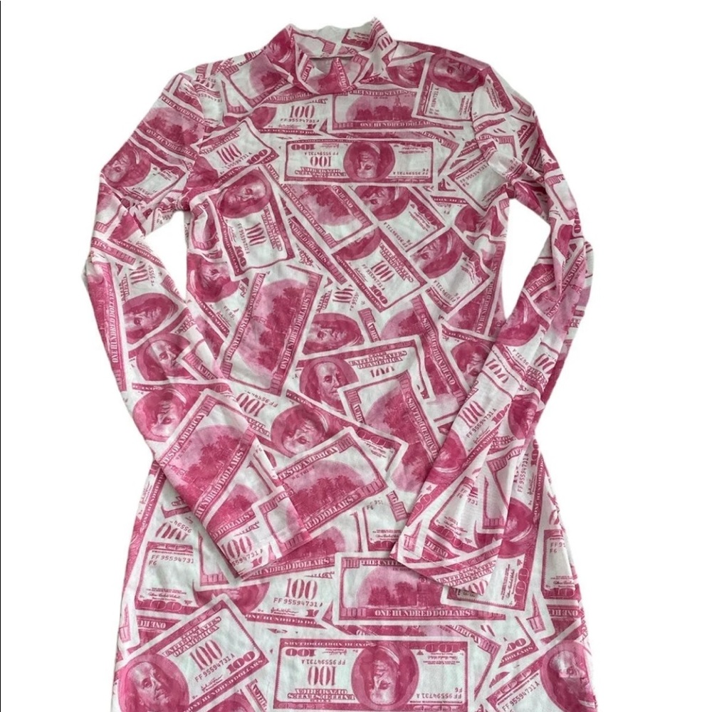 $100 Bill Pink Sheer Dress